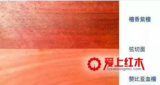 什么是血檀，血檀家具的优缺点-4