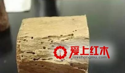 红木家具被虫蛀了怎么办？-3