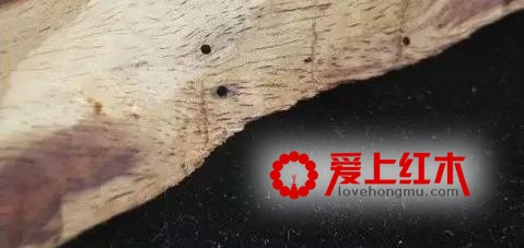 红木家具被虫蛀了怎么办？-4