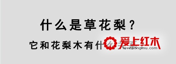 草花梨是什么鬼？它与花梨木有什么关系？-1
