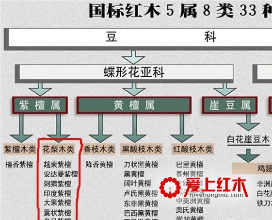 草花梨是什么鬼？它与花梨木有什么关系？-3