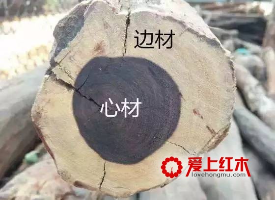 了解这些术语让你在购买红木家具时不易被忽悠-1