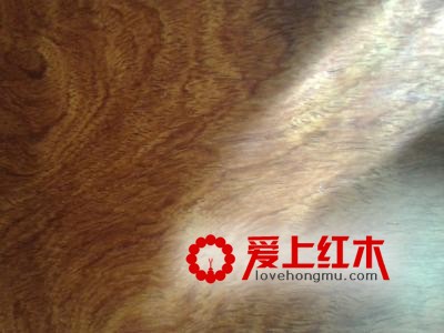 大果紫檀红木产地价格等介绍-2