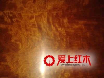 大果紫檀红木产地价格等介绍-1