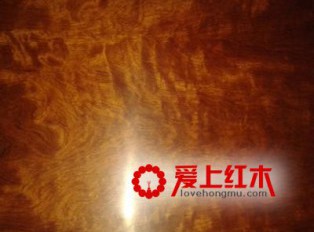 大果紫檀红木产地价格等介绍