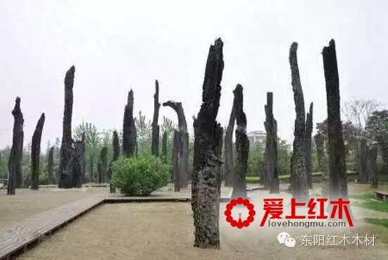 东方神木阴沉木到底什么来头？阴沉木到底有哪些特点-4