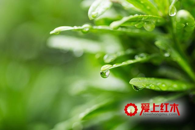从地域聊起，红木家具如何应对盛夏“烤”验？-5