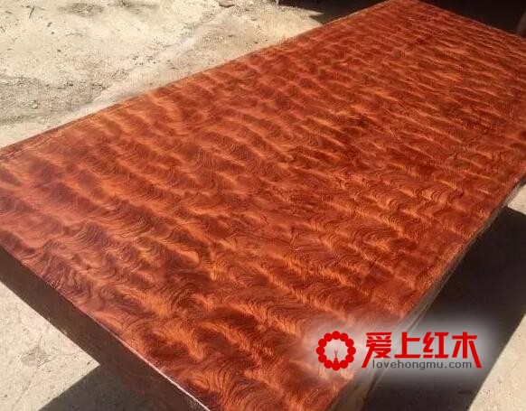 巴西花梨是什么？详解大巴花与小巴花的区别-2