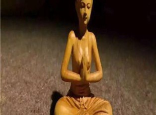 黄杨木被雕成瑜伽美女，和真人分不清了！
