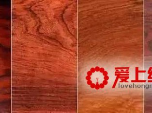 红酸枝木分类介绍 红酸枝木的识别经验介绍