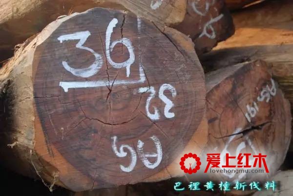 红酸枝木分类介绍 红酸枝木的识别经验介绍-3