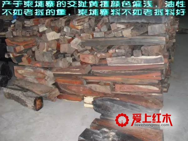红酸枝木分类介绍 红酸枝木的识别经验介绍-2