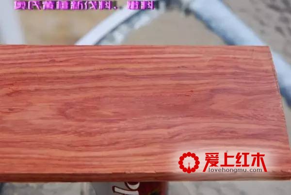 红酸枝木分类介绍 红酸枝木的识别经验介绍-4
