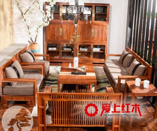 刺猬紫檀经常护理用什么好处