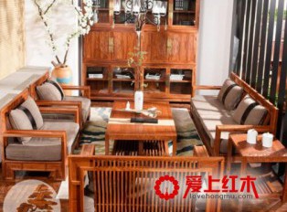 刺猬紫檀经常护理用什么好处