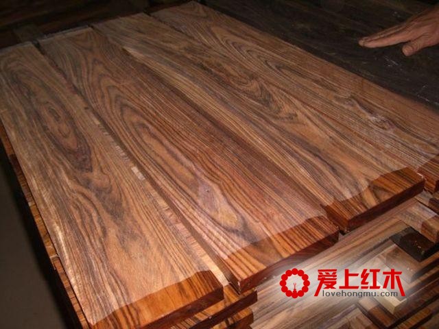 介绍黄檀的基本常识