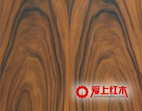 介绍酸枝木的基本简介