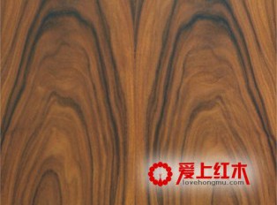 介绍酸枝木的基本简介
