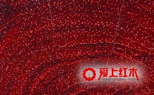 如何鉴别小叶紫檀的真伪？八步鉴别小叶紫檀真伪-6