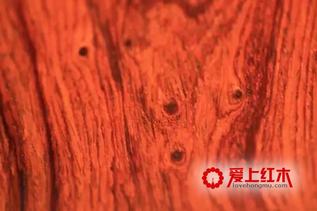 四招即可区分黄花梨和酸枝木！-8
