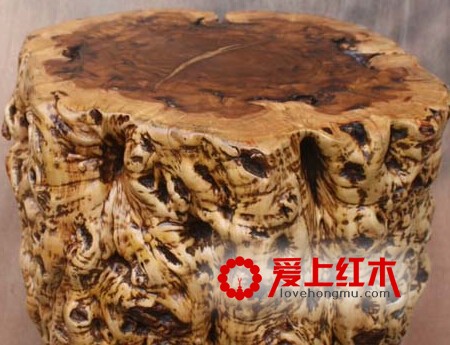 枣木的养生作用和功效