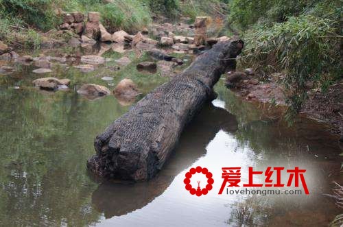 乌木的养生价值有哪些