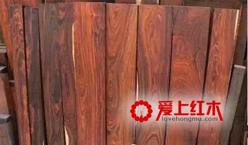 红酸枝木四大天王你了解多少？红酸枝木资料介绍