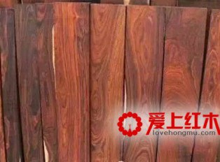 红酸枝木四大天王你了解多少？红酸枝木资料介绍