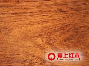 怎样辨别海南黄花梨与越南黄花梨
