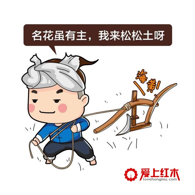 戏说海黄不为人知的历史-18