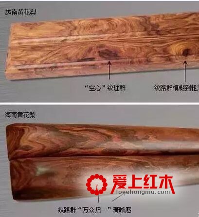 海南黄花梨与越南黄花梨的黑色素鉴别-3
