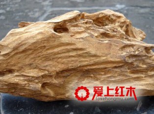 沉香木养生作用和功效！