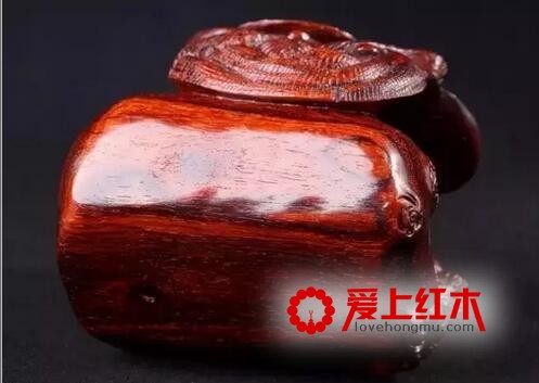 这些名贵木材不仅仅是能做家具还能治病-3