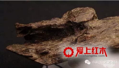 这些名贵木材不仅仅是能做家具还能治病-1