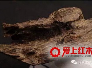 这些名贵木材不仅仅是能做家具还能治病