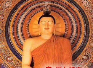 聊一聊戴珠的前世今生！