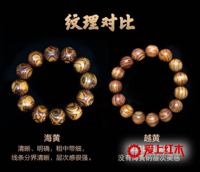 如何辨别海黄真伪？从这六个方面着手-3