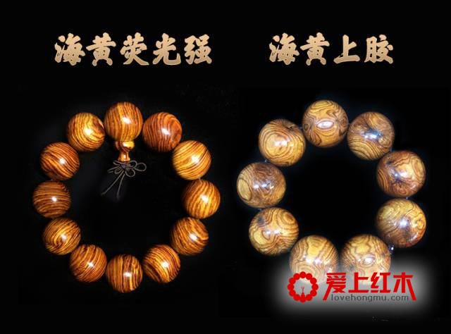 如何辨别海黄真伪？从这六个方面着手-5