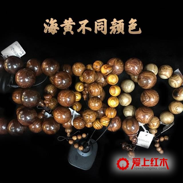 如何辨别海黄真伪？从这六个方面着手-6