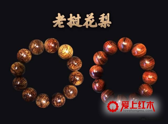 如何辨别海黄真伪？从这六个方面着手-4
