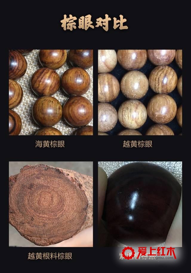 如何辨别海黄真伪？从这六个方面着手-9