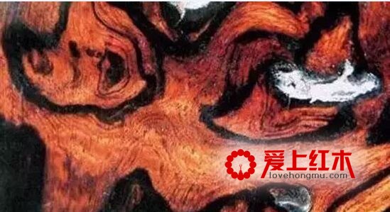 关于花梨木“鬼脸”的远古传说你知道吗？-2