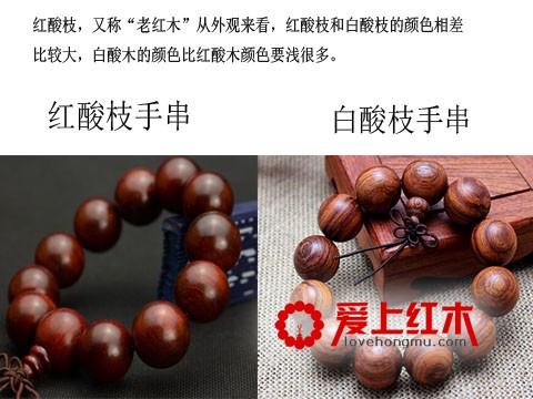 红酸枝和白酸枝有哪些区别 红酸枝和白酸枝哪个好？