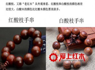红酸枝和白酸枝有哪些区别 红酸枝和白酸枝哪个好？