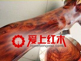 大叶黄花梨与海南黄花梨的区别-3