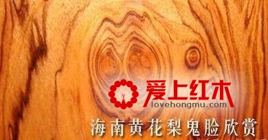 大叶黄花梨与海南黄花梨的区别-2