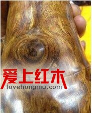 大叶黄花梨与海南黄花梨的区别-4