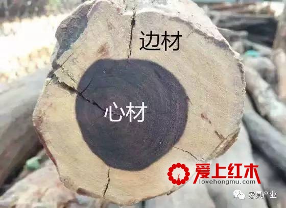 红木家具的白皮是什么？红木家具可以使用边材吗-1