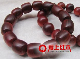 血龙木要怎么保养？