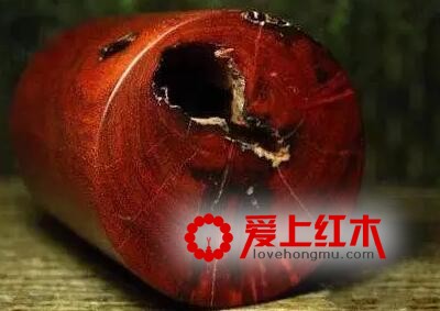 盘点7大养生木材-2